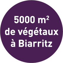 5000m² de végétaux à Biarritz