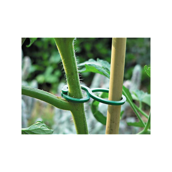 Fixation pour tomates (x15u)