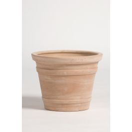 Cuvier moulure 50x40 - Goicoechea