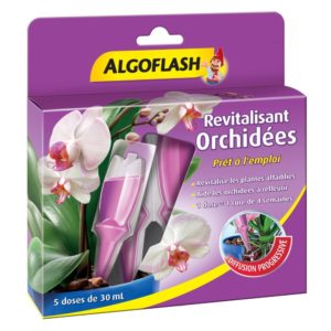 Revitalisant orchidées 30ml (Algoflash)
