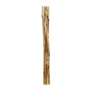 Tuteur bambou 60cm (x7)