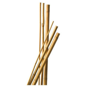 Tuteur bambou 90 cm (x5)