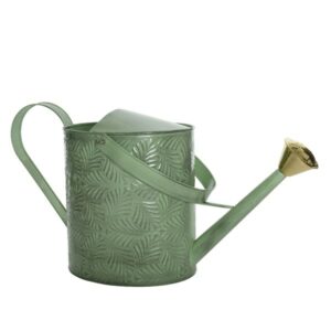Arrosoir zinc extérieur menthe - Kaemingk