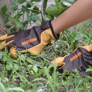 Gants